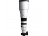 Sigma 300-600mm f/4 DG OS Sports Lens (L-Mount)